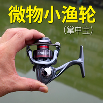 Micro-Matter Spinning Wheel Fishing Wheel Road Subpalm Neutrino Mini Fish Wheel Full Metal 500 Type Micro Throwing Small Fish Wire Wheel