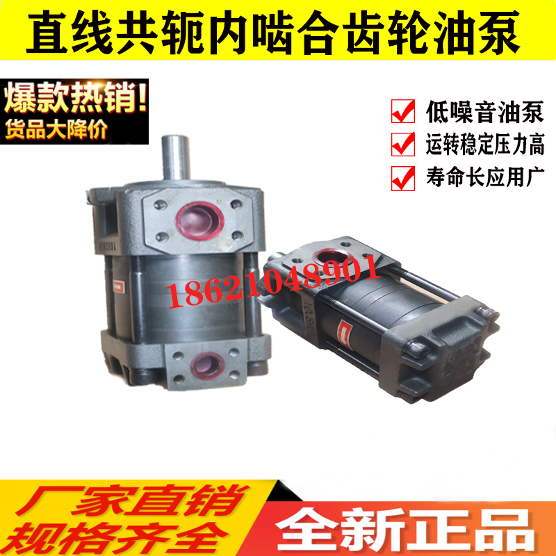 NB2 NBT3 NT2-G10F G12F G16F G20 G25 G32F High Pressure Mesh Gear Oil Pump
