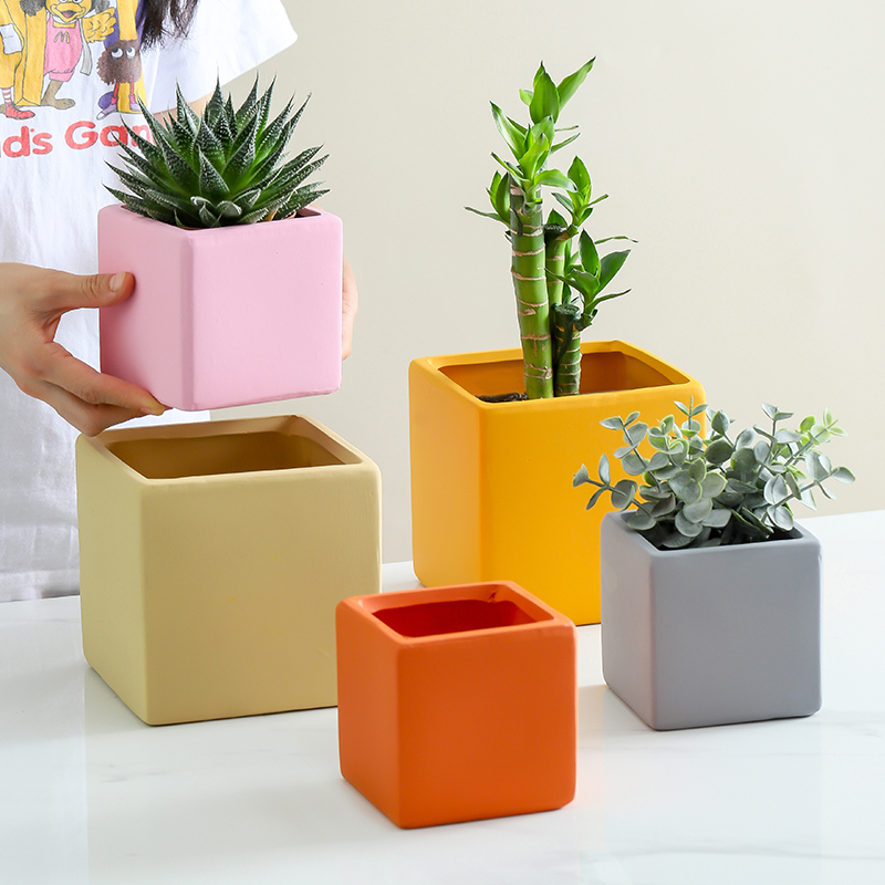 Nordic Minimalist Breathable Ceramic Tray Pot for Succulents, Clearance Sale, Coarse Pottery, Large Diameter Square Shape Nordic Minimalist Breathable Ceramic Tray Pot for Succulents, Clearance Sale, Coarse Pottery, Large Diameter Square Shape