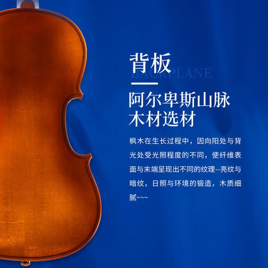 GCV Gremona handgefertigte Violine SV200 Kinder-Massivholzvioline Anfängereinstieg Europäisches Material V140