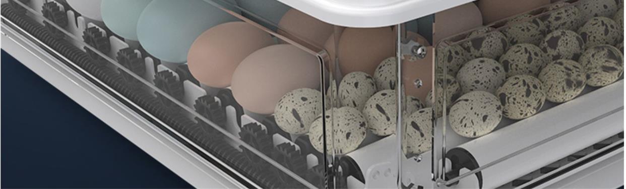 孵蛋器水床小鸡蛋芦丁孵化器小型机器家用全自动智能孵化箱孵化机