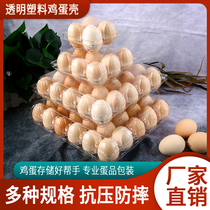 Whole Loaded Eggs Plastic Tray Duck Egg Pigeon Egg Quail Egg Multiple Spec Manufacturer Straight Hair