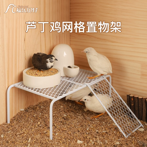 Линг куриный питомец поставляется ландшафт куриной куриный дом деформирование коробки для размножения.