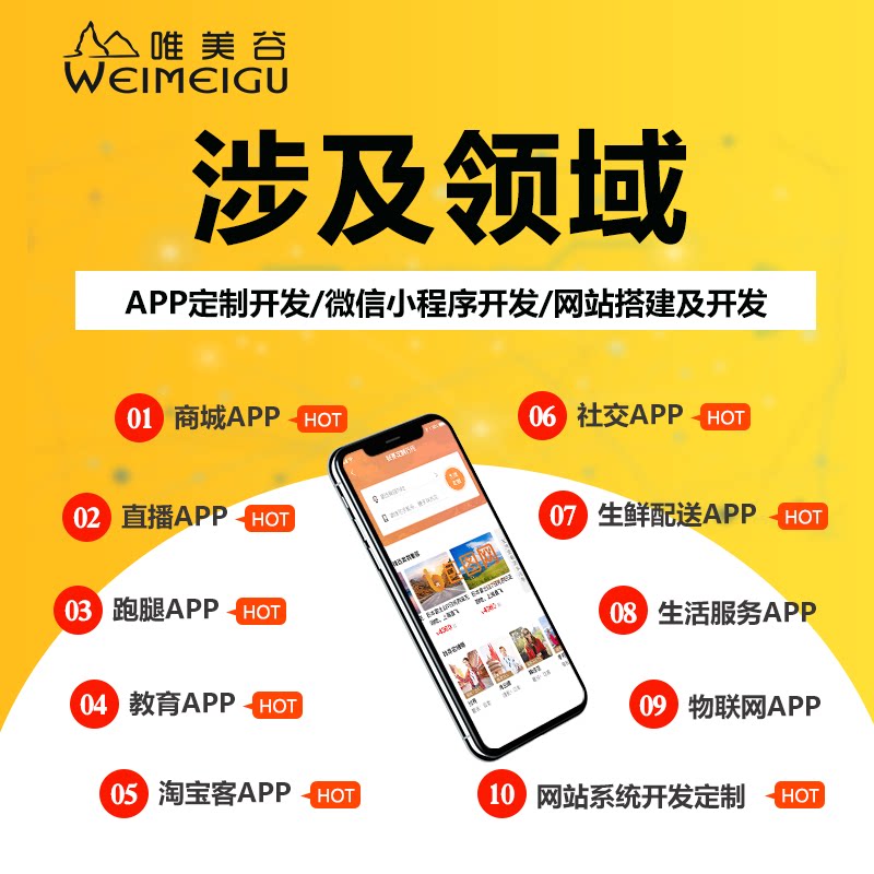 App development Custom mobile phone mall app Errand delivery Live education Taxi freight video app development