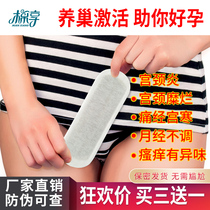 Cotton enjoy snow lotus paste pad female traditional Chinese medicine sanitary cotton antibacterial and antipruritic private care safflower care paste