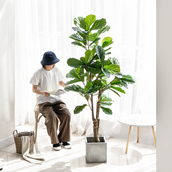 Simulated piano leaf banyan large potted Nordic plants indoor decoration fake green plant bonsai home living room decoration