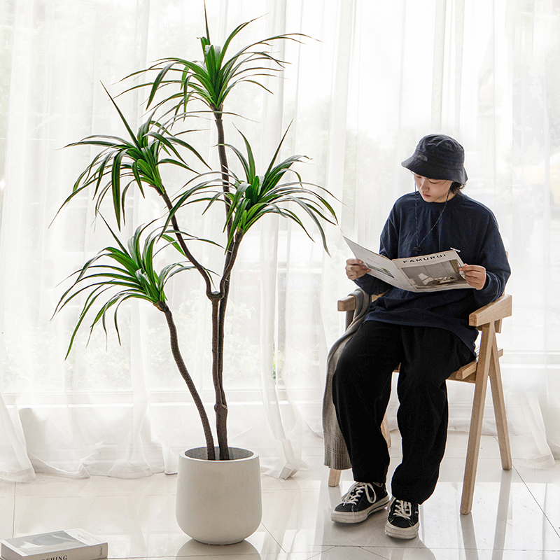 Nordic wind simulation dragon blood tree plant potted millennial wood horsetail iron tree indoor large floor decoration fake green plant