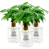 Доброе утро прозрачное бассейн