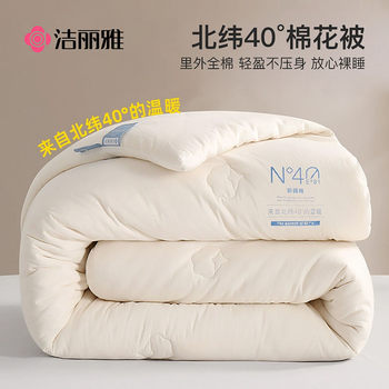 Jialiya Xinjiang Cotton Quilt, Thickened Winter Quilt Core, Winter Quilt, Air-Conditioning Quilt, Single-Person Spring, Autumn, Summer Cool Quilt, Summer Quilt