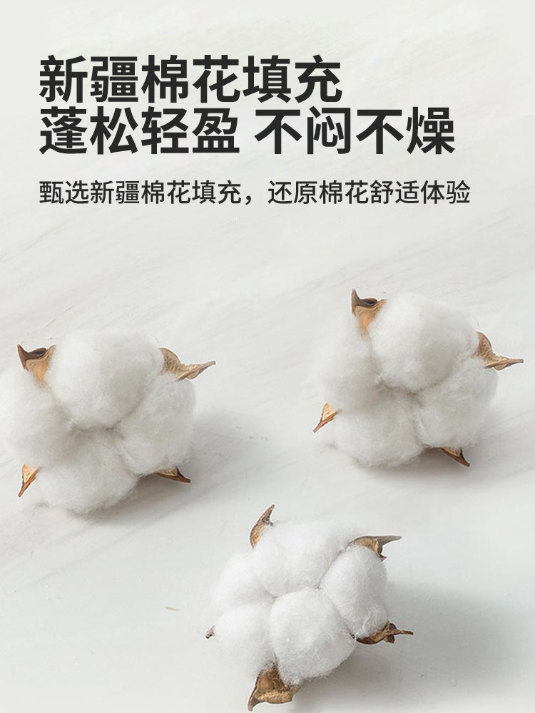 Jialiya Pure Cotton Xinjiang Cotton Quilt Core Warm Cotton Quilt Pure Cotton Winter Quilt Thickened Autumn and Winter Bedding