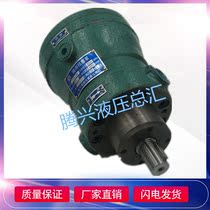 Shanghai Shenfu High Pressure Pump Hydraulic Axial Piston Pump 2 5MCY14-1B 5MCY14-1B 10MCY14-1B