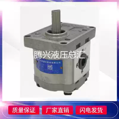 Hefei Changyuan gear pump hydraulic pump CBW-F310 F314 F316-ALP AFP CLP CFP