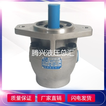 Fuxin high pressure hydraulic pump CBF-E10P 16p 18p 25p 32p 40p ALP X forklift gear oil pump