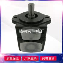 YUKEN YUKEN vane pump PV2R1-6 8 10 12 14 17 19 23 25 28 31-F-RAA-43