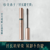 Huaxizi Pine Tobacco Butterfly Feather Mascara Waterproof Fiber Long Curl Does Not Blend Thick Grafting Lasting Natural Lengthening