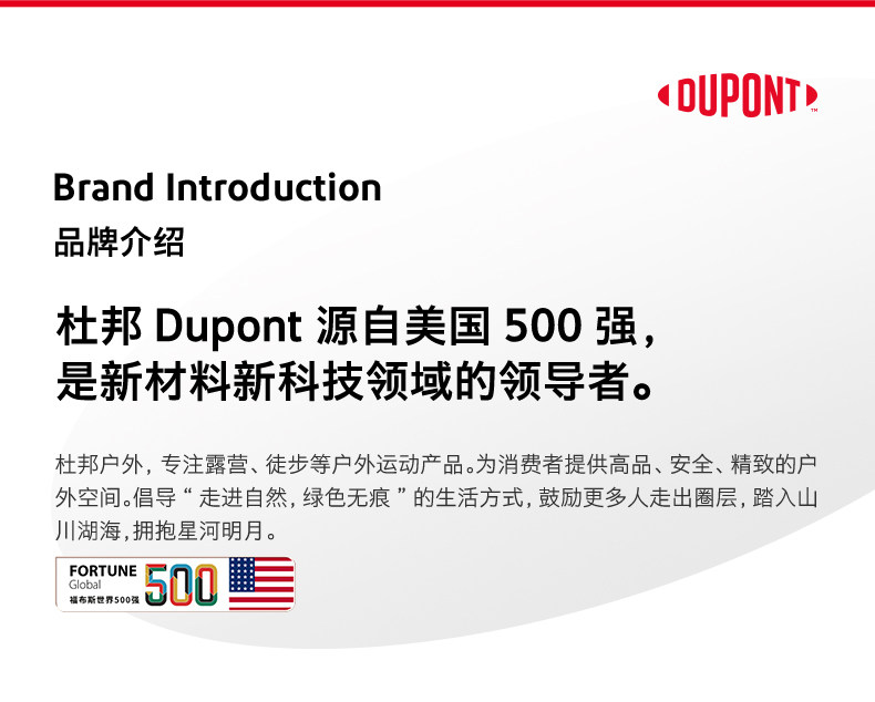 Dupont 杜邦 户外便携卡式炉 配收纳箱 天猫优惠券折后￥198包邮（￥298-100）