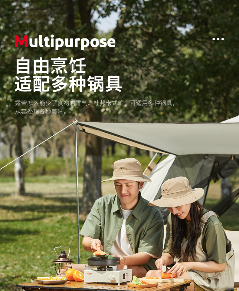 Dupont 杜邦 户外便携卡式炉 配收纳箱 天猫优惠券折后￥198包邮（￥298-100）
