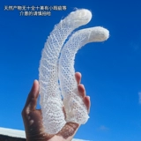 Натуральные сетевые улитки и раковина Zi Lao Tongxue, креветки, монтажный рам