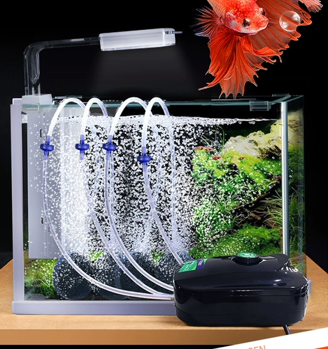 Кислородные насосы рыба резервуары с немой кислород -продюсер кислород -обработки кислородного насоса кислорода кислорода насосы насос сосновой насос сосновой