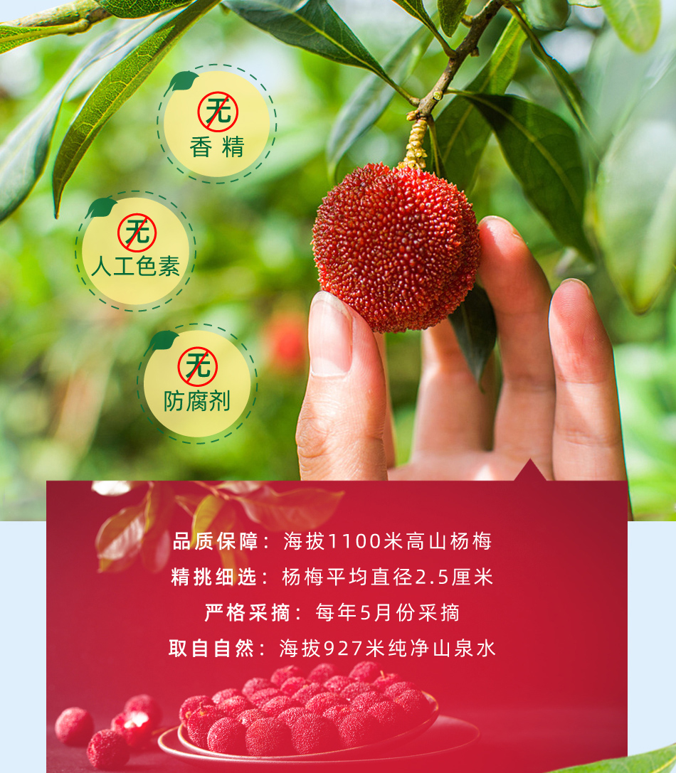 成有王记 冰杨梅汁 368ml*4瓶 图7