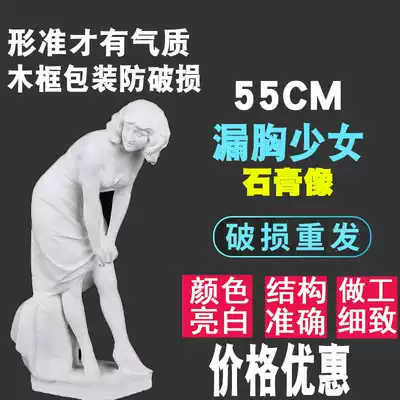 Leaked chest girl plaster art sketching teaching aids student painting model craft gift decoration sketch ornament studio decoration