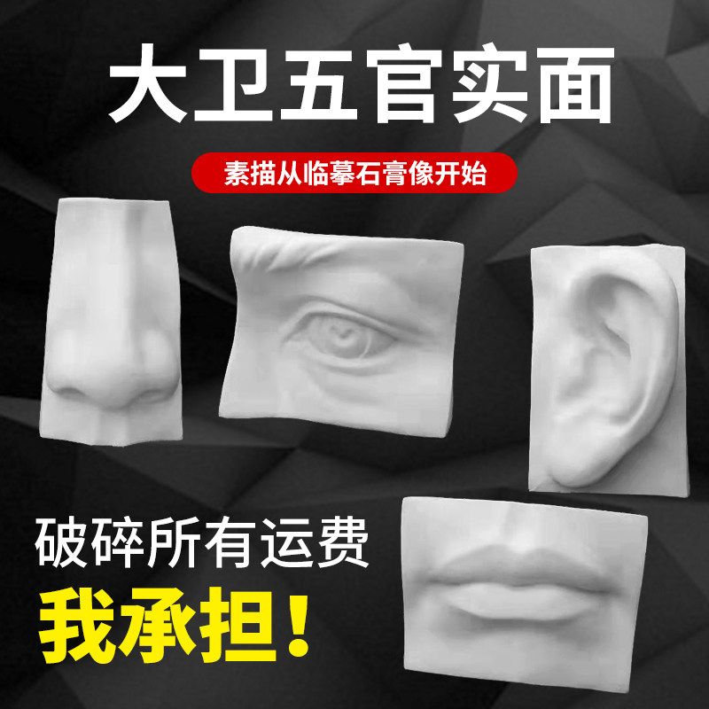 Plaster like a five official real face fine art teaching aid swing piece fine art plaster supplies sketching students' geometric body teaching aids for five officials