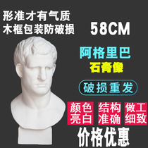 Agriba plaster head art sketching teaching aids crafts sketch painting model student dedicated studio