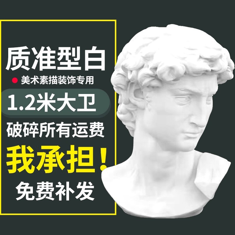 1.2 meters David head plaster baseless art sketching teaching aids handicraft studio special art academy model direct sales