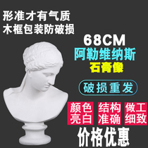 Alevenus plaster head portrait art Academy dedicated student painting model decorative sculpture crafts sketch sketches