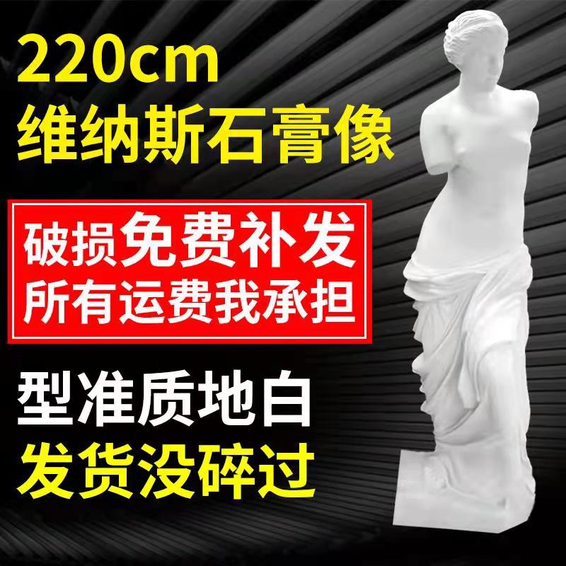 2.2 Mi Venus full body plaster statue studio special sculpture statue ornament handicraft sketch life