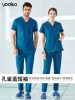 Peacock Blue короткие рукава [та же модель мужчин и женщин]