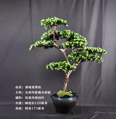 Large-scale high simulation arhat pine landing natural welcome pine Big tree dry landscape plant green plant Chinese floral fake tree