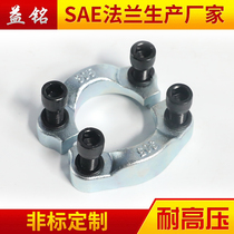 SAE split flange clamp JB 4187 F type galvanized carbon steel CHFI standard FH FV oil pump marine pressure plate