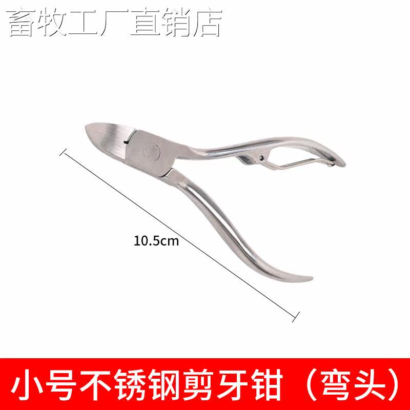 Bestiture pig Stainless Steel Shears Pig Teeth With Piglet Piglet Piglet Snout Pliers 17255 Pig With Cut Teeth Pliers for Breeding With Breeding