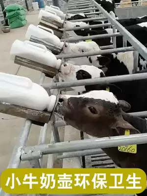 Calf bottle calf breastfeeding tool pig animal lamb pig milk jug nipple animal cow sheep breastfeeding artifact bottle milk