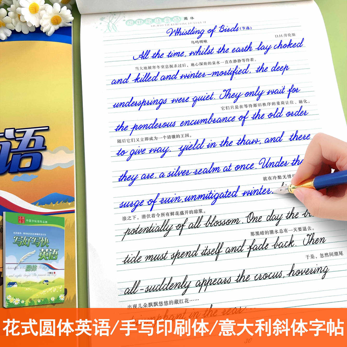 央视画廊】传世墨迹——王宠草书《李白古风诗》_央视网(cctv.com), image size:1440x1440