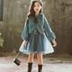 Girls winter dress 2022 new children's skirt autumn and winter two-piece suit little girl western style princess dress tide