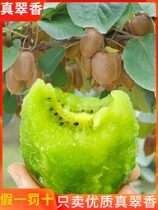 Authentic cuisum macaque gooseberry Shaanxi week to fresh green heart-scenograms of pregnant woman fruit chiechiot sweet and juicy