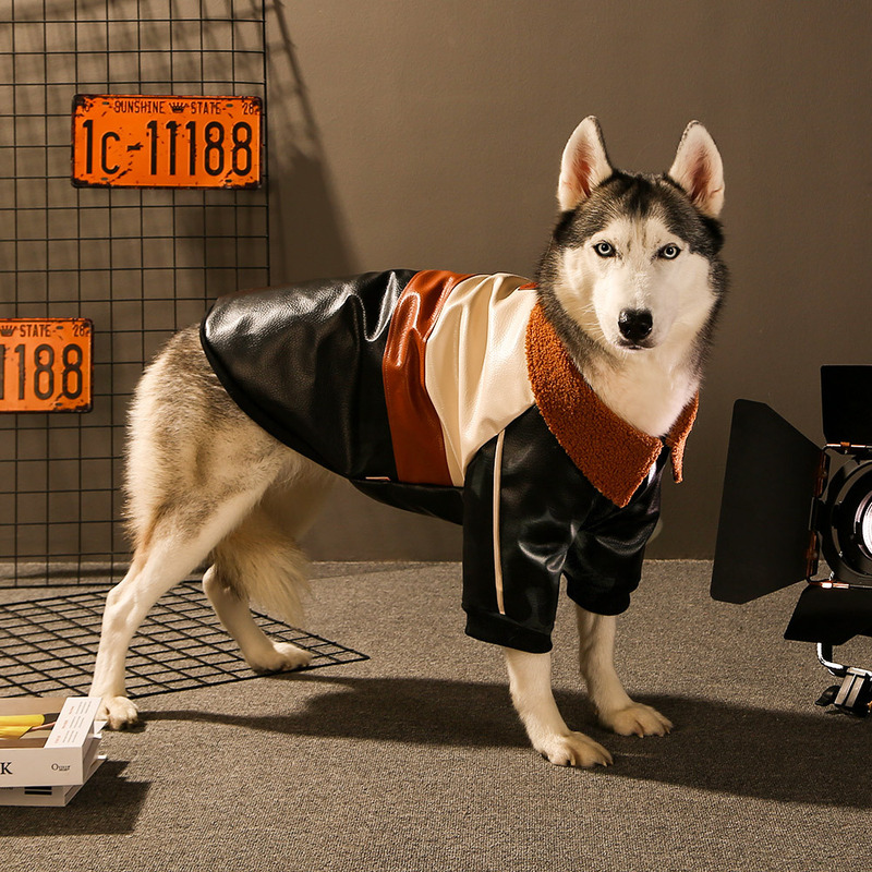 Large Dog Winter Clothes Leather Jacket Shiba Inu Husky Border Collie Samoyed Golden Retriever Alaskan Malamute German Shepherd Large Dog Winter Clothes Leather Jacket Shiba Inu Husky Border Collie Samoyed Golden Retriever Alaskan Malamute German Shepherd
