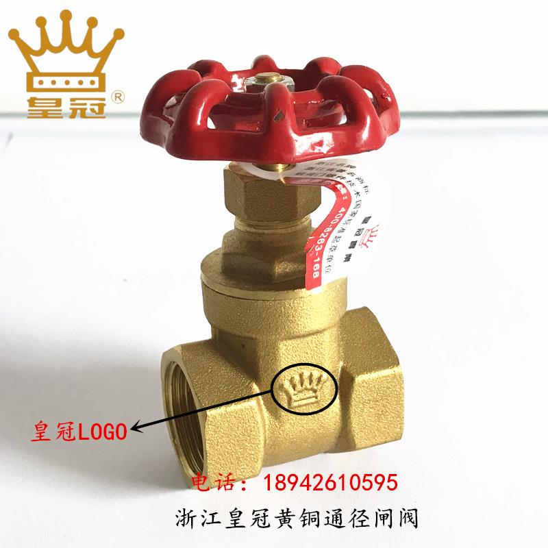 Valve Ppr Tube Special Copper Gate Valve Double Live gate valve Water pipe valve ppr4 Sub-water Raft Gate Switch