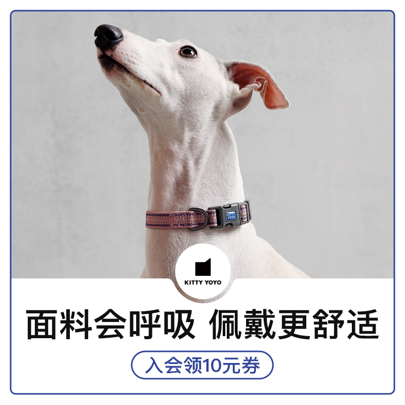 Kittyyoyo Foundation Underdog Collar Dog Collar Dog Collar Kitty Collar kitty neckline Traction Rope Small Dog