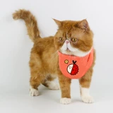 Петуц -треугольник водяное полотенце мило с хлопковыми плюшевые мишки, маленькие, маленькие собаки, собачья кошка маленький шарф