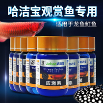 Ha Jiebao boutique suppression powder aquarium small ornamental fish dragon fish other probiotics non-veterinary fish drugs