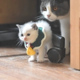 Шарф, трикотажный чокер ручной работы, милый слюнявчик, галстук-бабочка, аксессуар