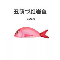 Уродливая милая красная рыба の одиночная рыба 20 см 20 см.