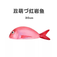 Уродливая милая красная рыба の одиночная рыба 30 см 30 см.