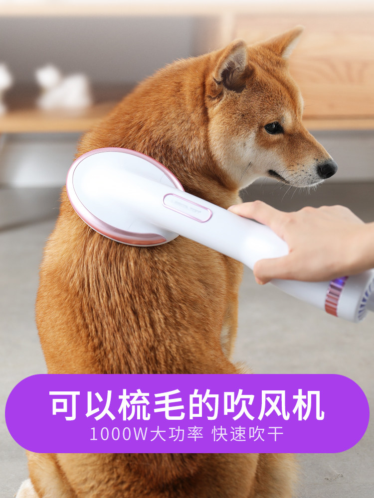 Pet hair dryer hair comb one dog blowing drying special Teddy blowing artifacts high power small