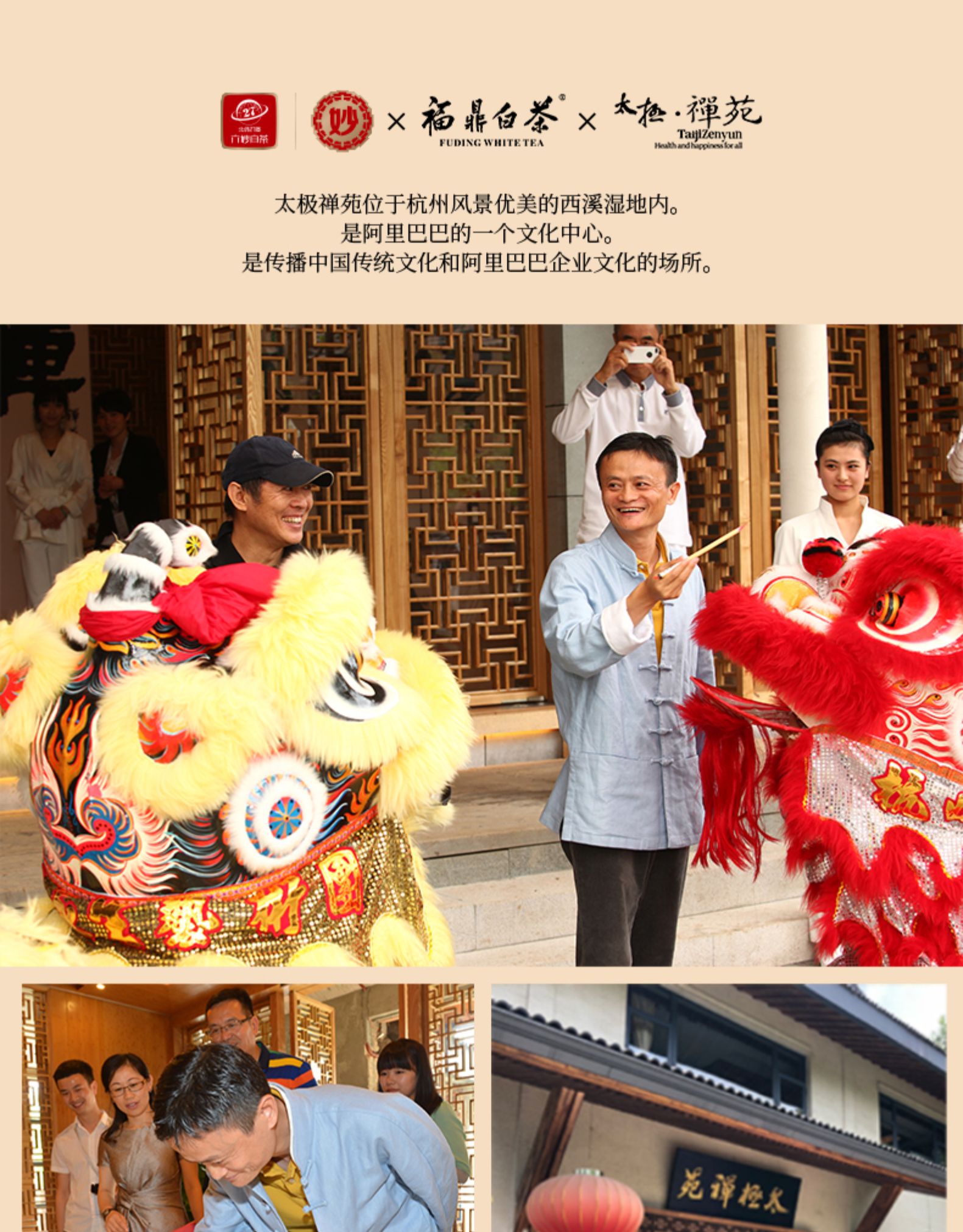 六妙&太极禅苑 定制福鼎白茶 白牡丹 200g礼盒装 图4