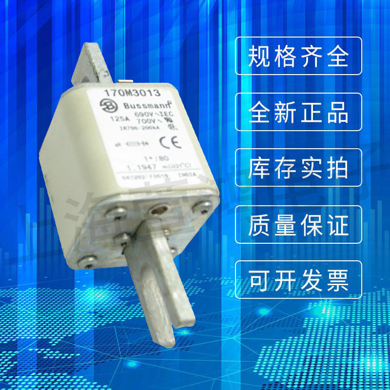 170M3016 170M3017 170M3018 170M3019 Eton Bussmann fast fuse