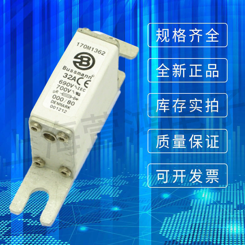 High quality 170M1362 170M1363 170M1364 170M1365 Bassman fuse fuse